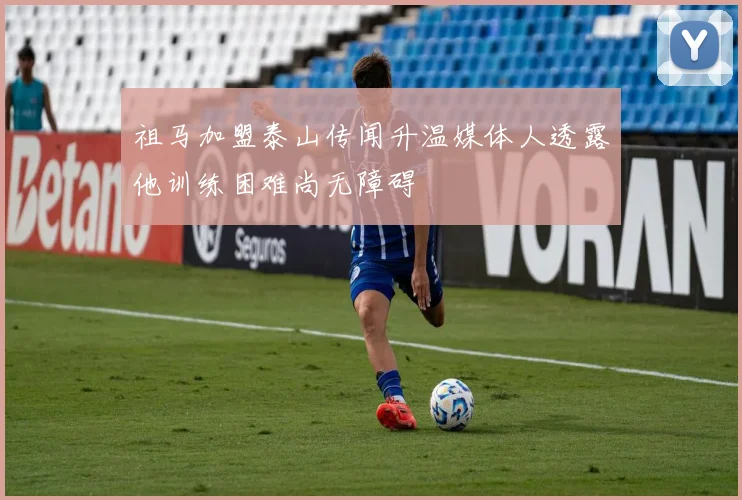 祖马加盟泰山传闻升温媒体人透露他训练困难尚无障碍