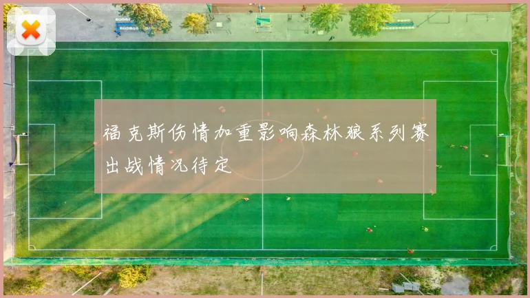 福克斯伤情加重影响森林狼系列赛出战情况待定